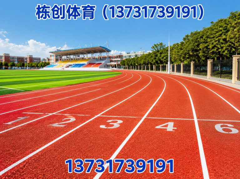 沧县EPDM场地展示图